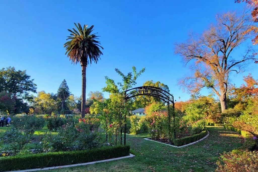 סקרמנטו Artist'S Retreat Near The Heart Of The City מראה חיצוני תמונה
